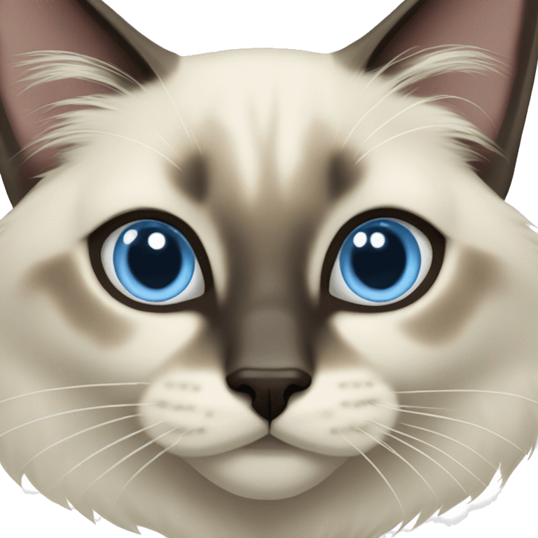 Balinese cat with light blue eyes, medium length fur, and dark face and ears emoji