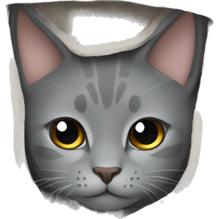 gray cat wrapped in a blanket emoji