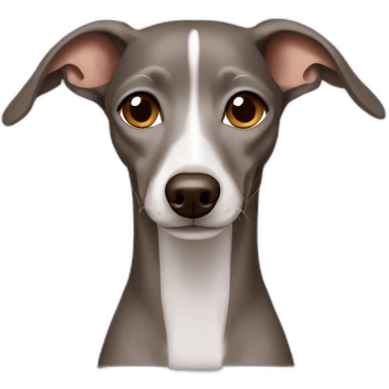 brown grey Italian greyhound emoji emoji