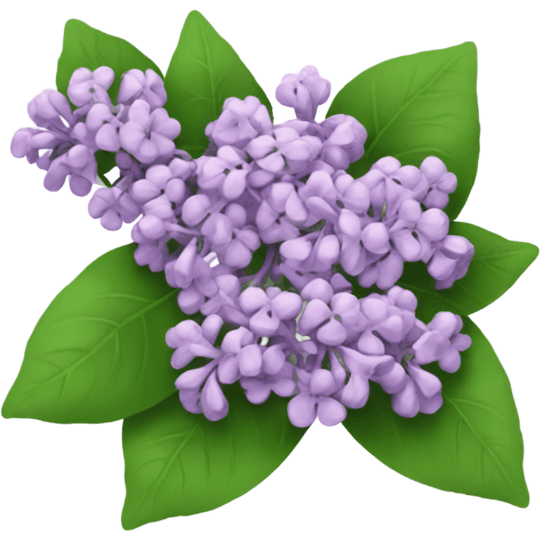 Lilacs the flower emoji