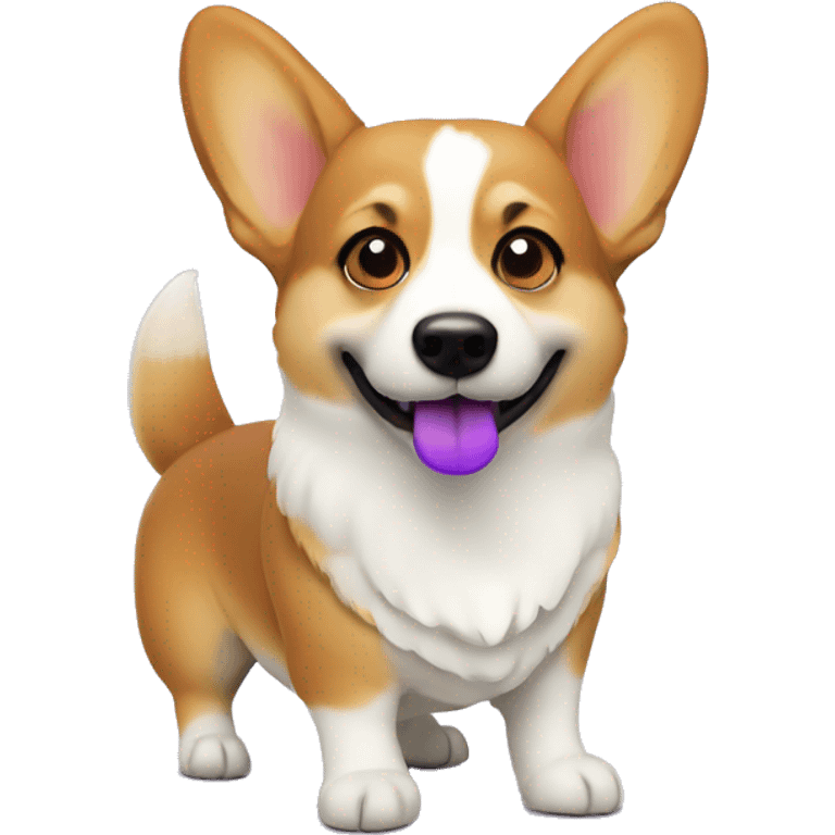 Corgi mit lila Schleife um den Hals  emoji