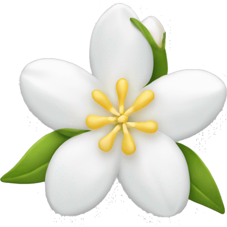 Jasmine flower with white petal and yellow center with stamen emoji