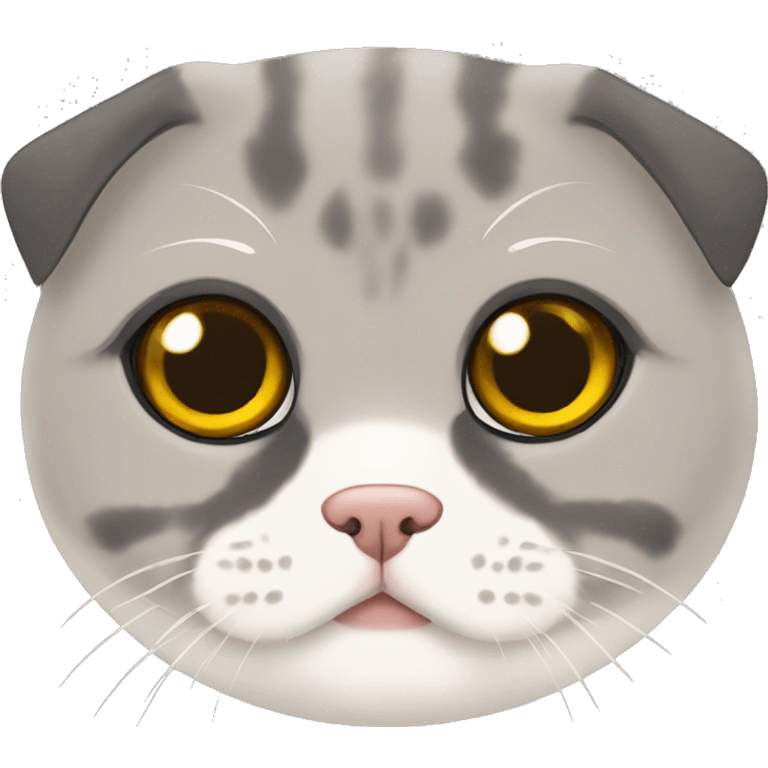 Scottish fold emoji