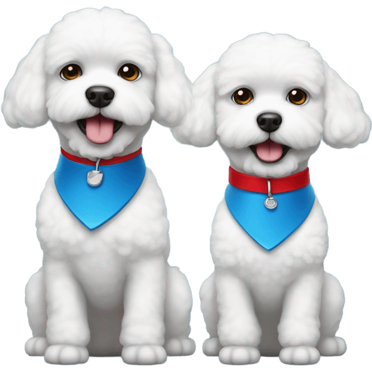 Two bichons, one with a red collar and the other with a blue collar emoji