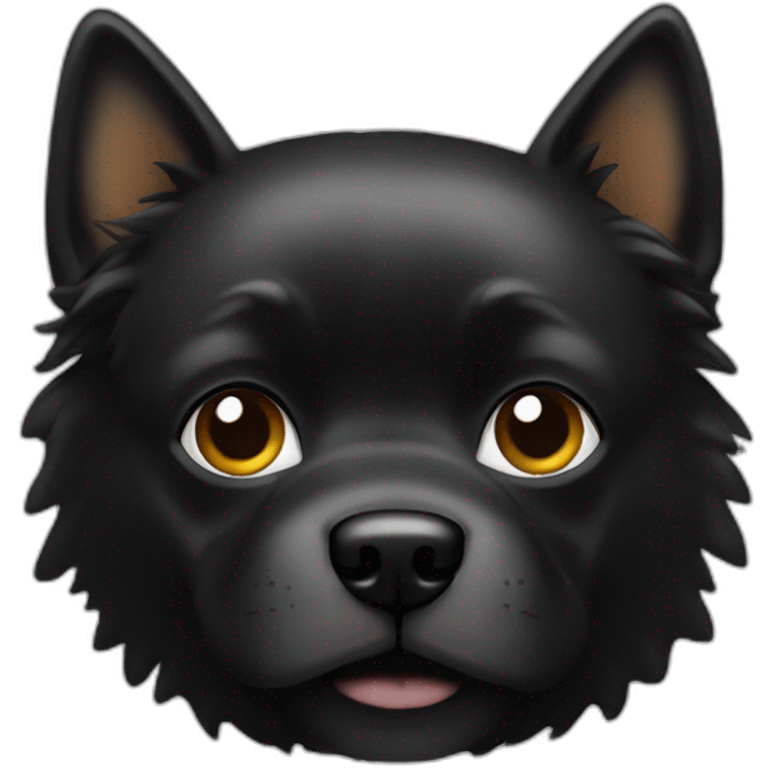 Chat sur chien noir emoji