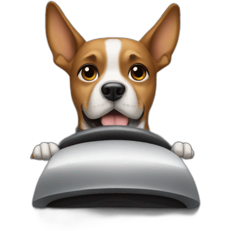 Dog driving car  emoji