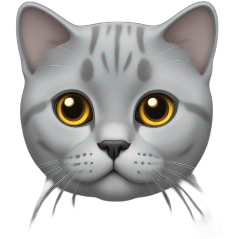 British Shorthair grey emoji