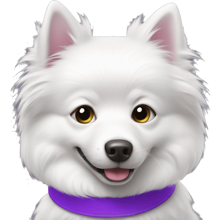 white spitz with purple collar  emoji