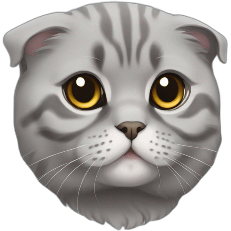 Scottish fold cat grey emoji