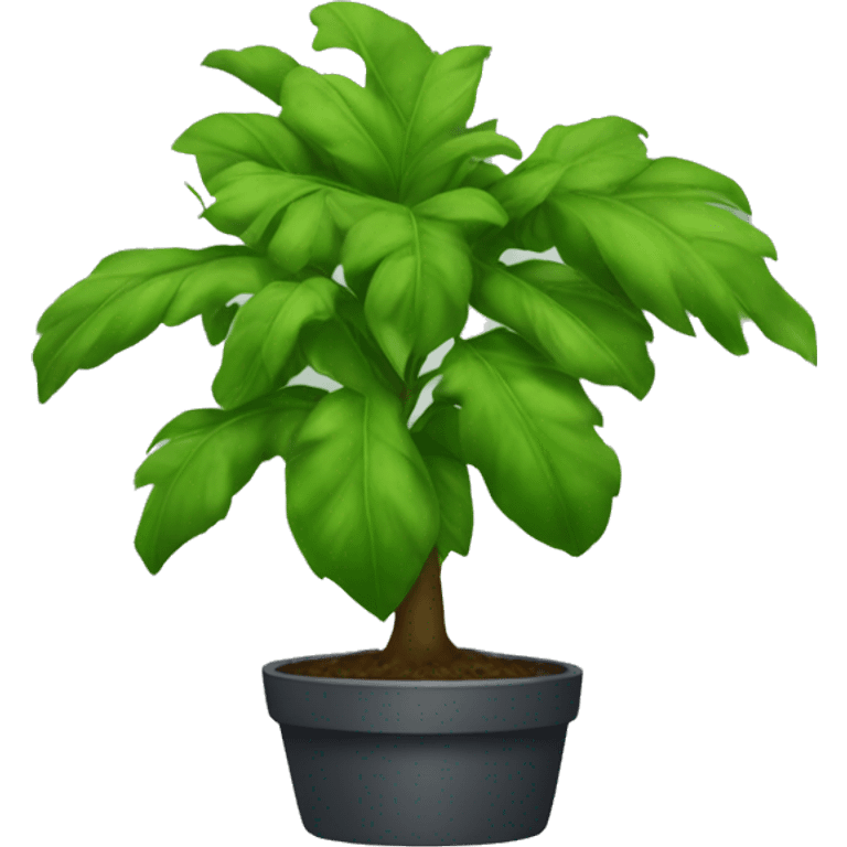 plante emoji