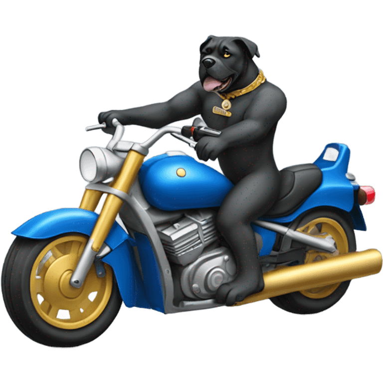 A blue and gold Cane Corso riding a motorcycle. emoji