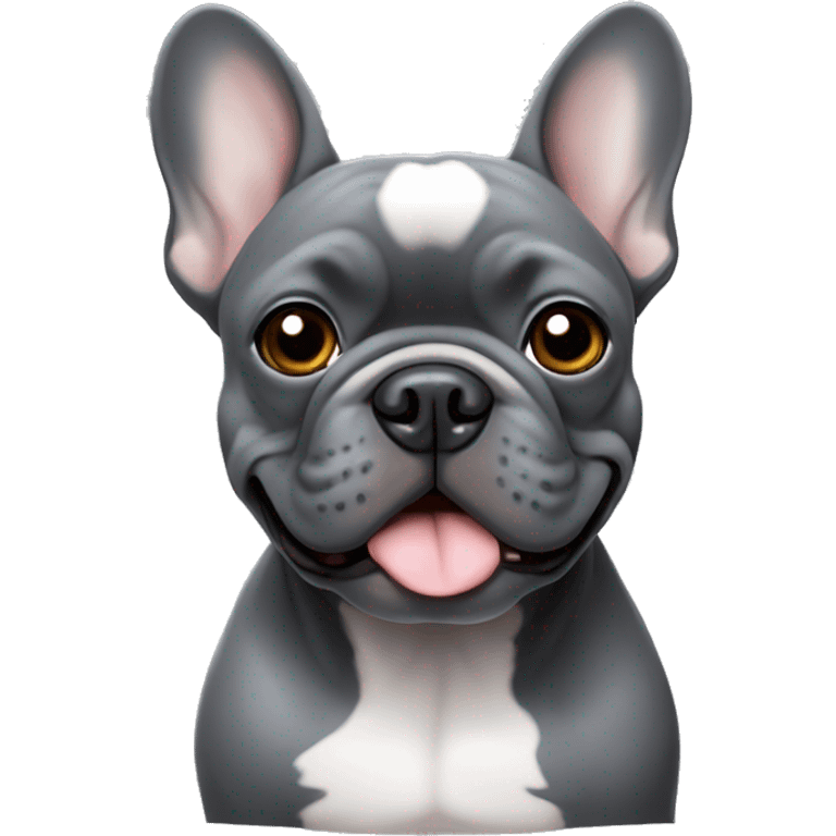 Dark grey French bulldog with light grey eyes  emoji