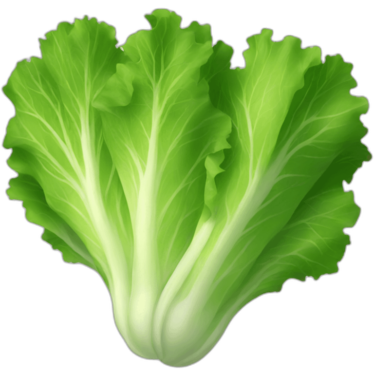 lettuce emoji