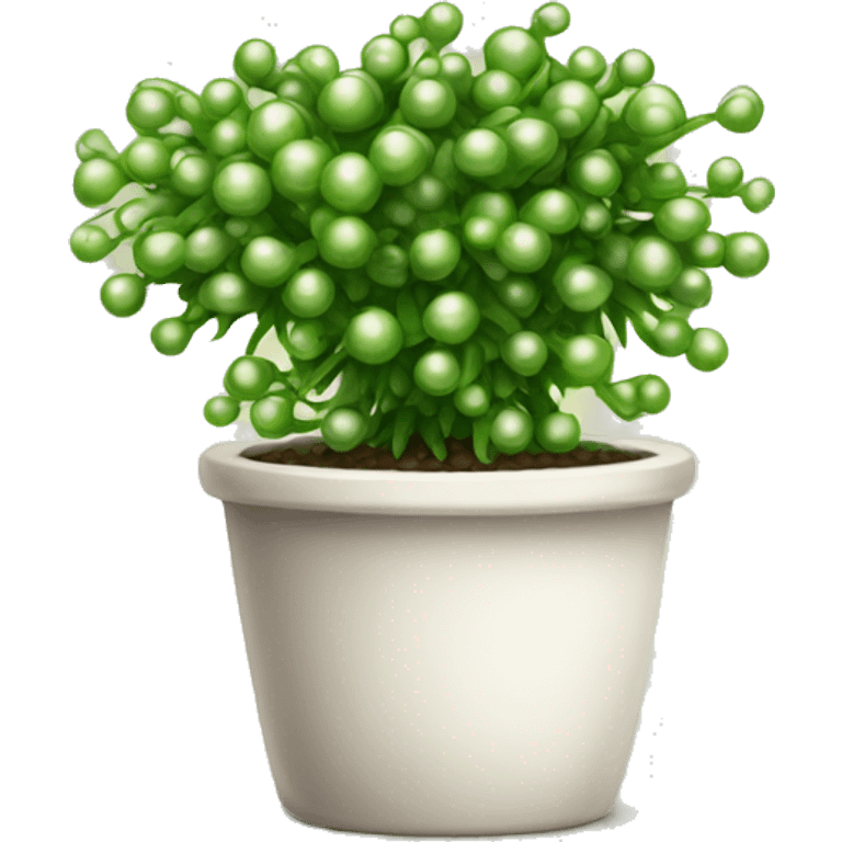 String of pearls houseplant emoji