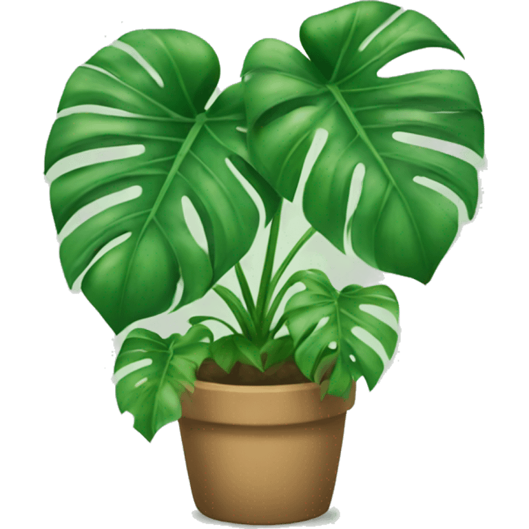 Monstera plant emoji