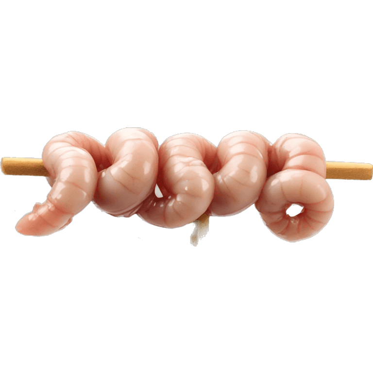 Lamb intestines on a skewer like kokorec emoji