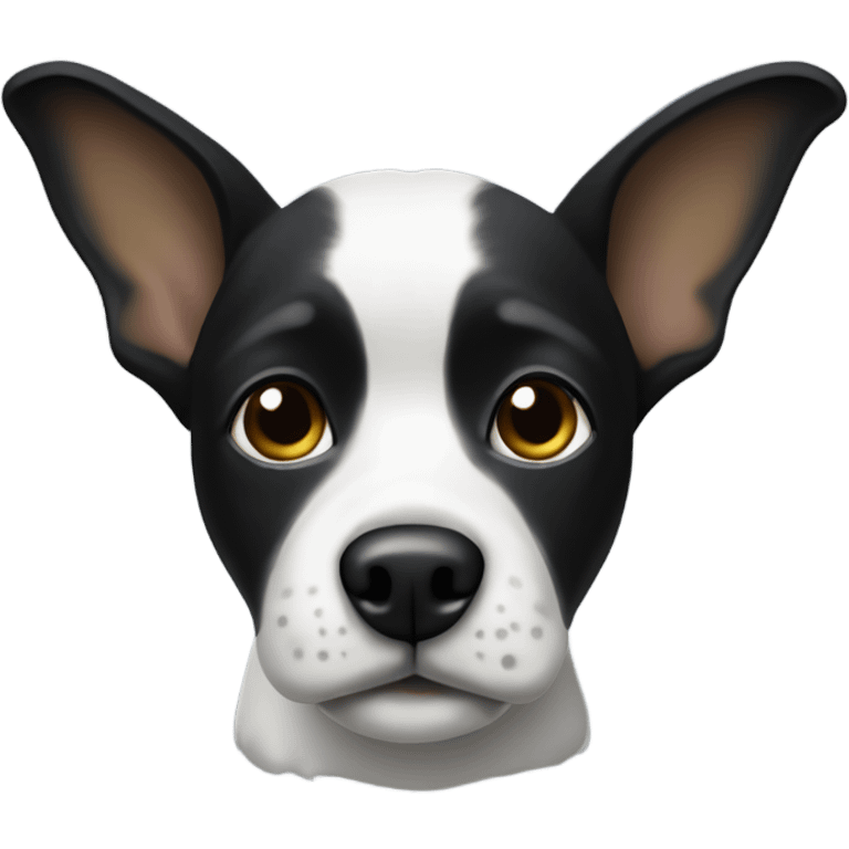 Black and white dog with yoda ears emoji