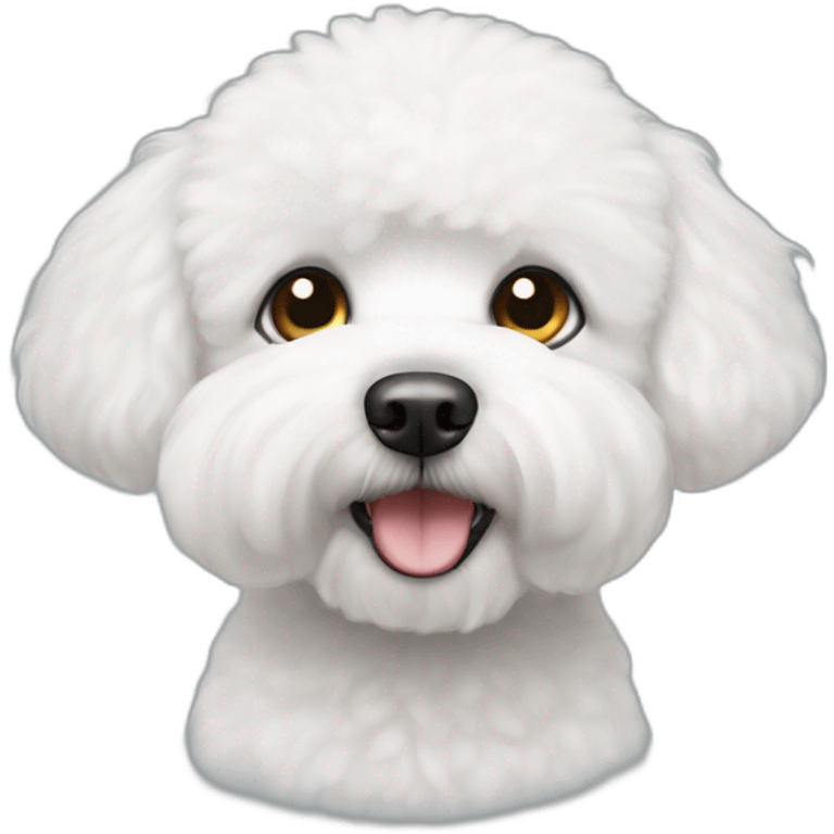 white bichon frise with one eye emoji