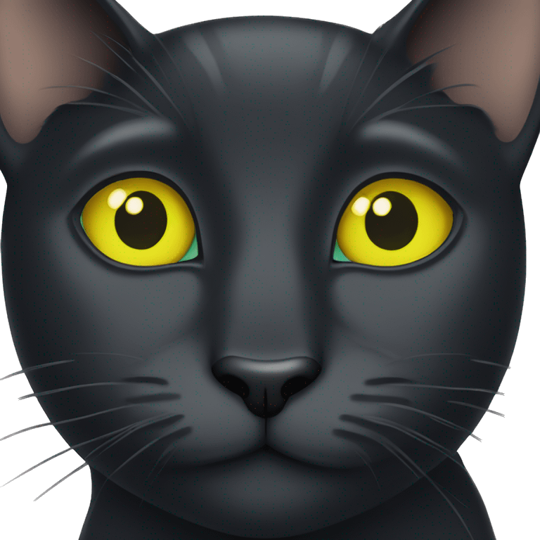 Black cat with yellow speck and green eyes  emoji