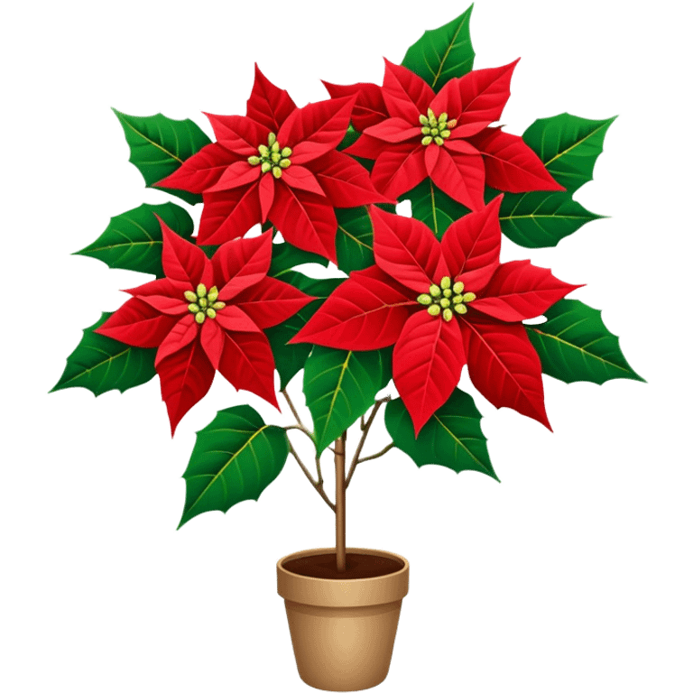 super big bouquet Poinsettia, stem, leaf, no pot emoji