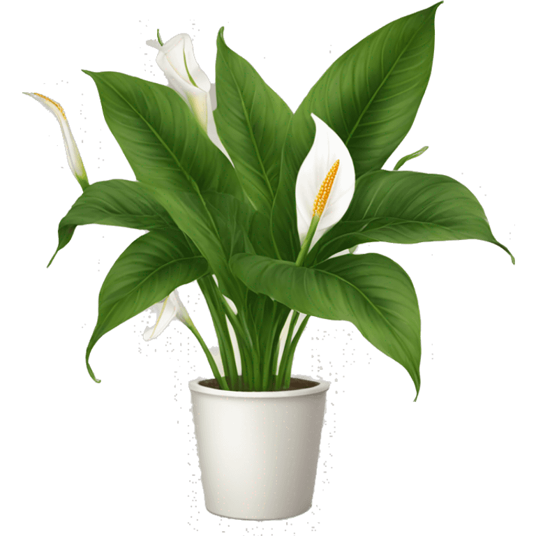 Peace lilies emoji