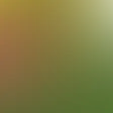 blurhash of the original image