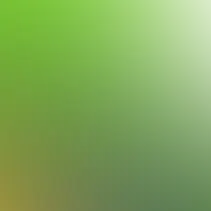 blurhash of the original image