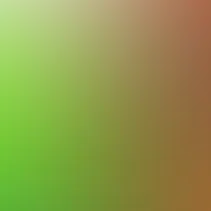 blurhash of the original image