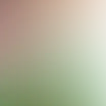 blurhash of the original image