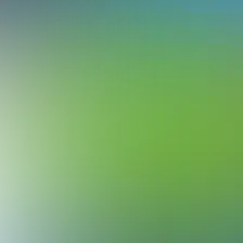 blurhash of the original image