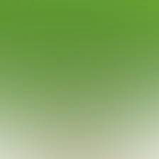 blurhash of the original image