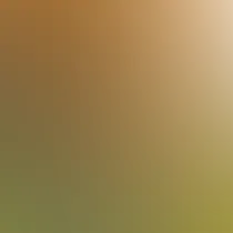 blurhash of the original image