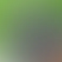 blurhash of the original image