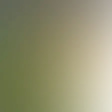 blurhash of the original image