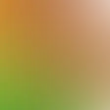 blurhash of the original image