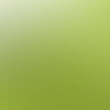 blurhash of the original image