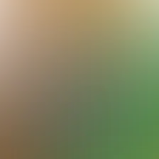 blurhash of the original image