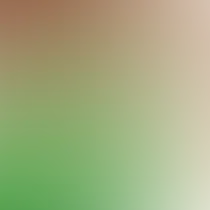 blurhash of the original image