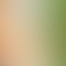 blurhash of the original image