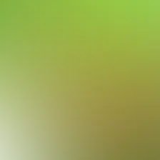 blurhash of the original image