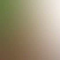 blurhash of the original image