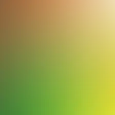 blurhash of the original image