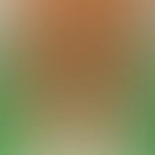 blurhash of the original image