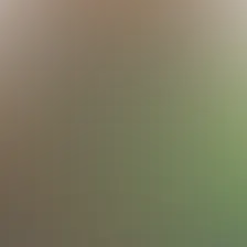 blurhash of the original image