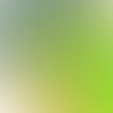 blurhash of the original image