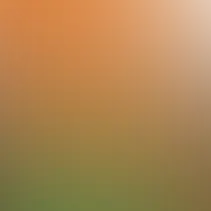 blurhash of the original image