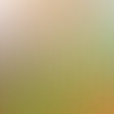 blurhash of the original image