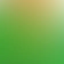 blurhash of the original image