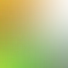 blurhash of the original image