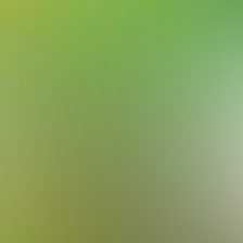 blurhash of the original image